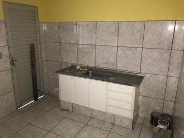 Alugar Casa / Padr&atilde;o em S&atilde;o Jos&eacute; do Rio Preto R$ 750,00 - Foto 3