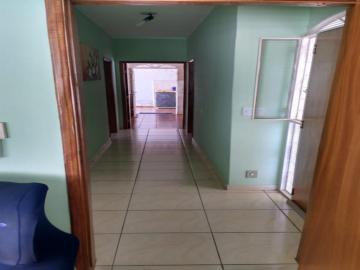Comprar Casa / Padr&atilde;o em S&atilde;o Jos&eacute; do Rio Preto R$ 420.000,00 - Foto 14