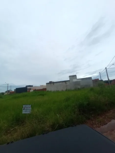 Terreno / Padr&atilde;o em Bady Bassitt 
