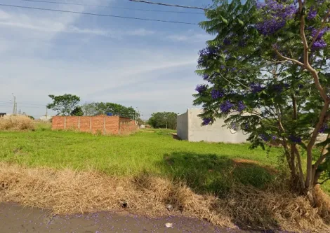 Terreno / Padr&atilde;o em Bady Bassitt 