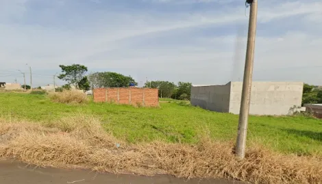 Terreno / Padr&atilde;o em Bady Bassitt 