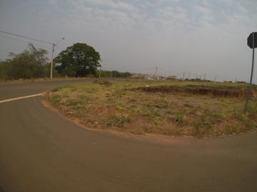 Alugar Terreno / Padr&atilde;o em Bady Bassitt. apenas R$ 89.000,00