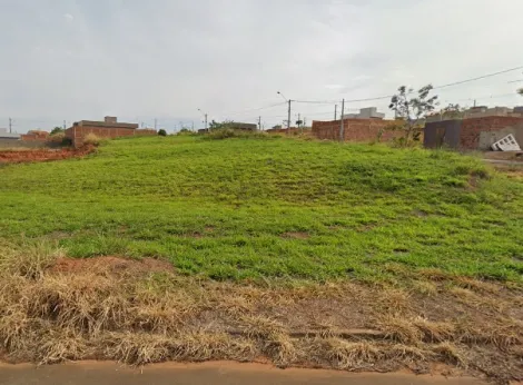 Alugar Terreno / Padr&atilde;o em Bady Bassitt. apenas R$ 89.000,00