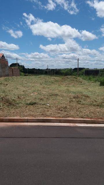 Comprar Terreno / Padr&atilde;o em S&atilde;o Jos&eacute; do Rio Preto R$ 90.000,00 - Foto 3