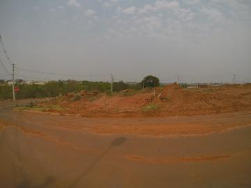 Comprar Terreno / Padr&atilde;o em Bady Bassitt R$ 88.000,00 - Foto 3