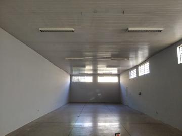 Alugar Comercial / Sal&atilde;o em S&atilde;o Jos&eacute; do Rio Preto R$ 3.900,00 - Foto 6