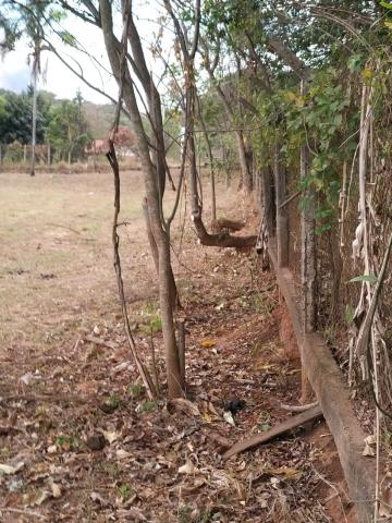Comprar Terreno / Padr&atilde;o em S&atilde;o Jos&eacute; do Rio Preto R$ 430.000,00 - Foto 5