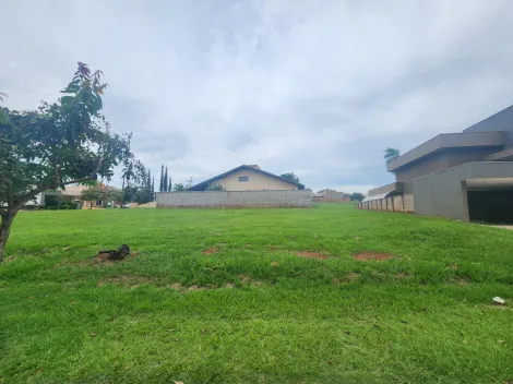 Comprar Terreno / Condom&iacute;nio em S&atilde;o Jos&eacute; do Rio Preto R$ 354.000,00 - Foto 7