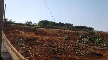 Comprar Terreno / Padr&atilde;o em S&atilde;o Jos&eacute; do Rio Preto R$ 160.000,00 - Foto 7