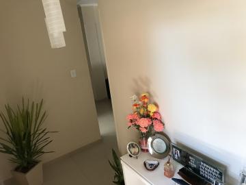 Comprar Apartamento / Padr&atilde;o em S&atilde;o Jos&eacute; do Rio Preto R$ 310.000,00 - Foto 2