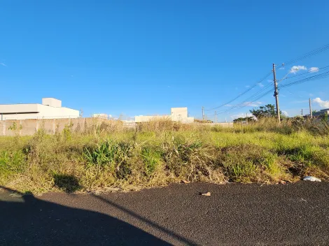 Alugar Terreno / Padr&atilde;o em S&atilde;o Jos&eacute; do Rio Preto. apenas R$ 124.000,00