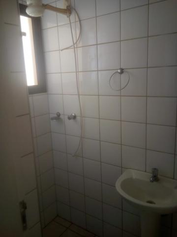 Alugar Apartamento / Padr&atilde;o em S&atilde;o Jos&eacute; do Rio Preto R$ 1.500,00 - Foto 10