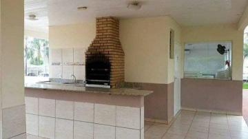 Alugar Apartamento / Padr&atilde;o em S&atilde;o Jos&eacute; do Rio Preto R$ 1.300,00 - Foto 16
