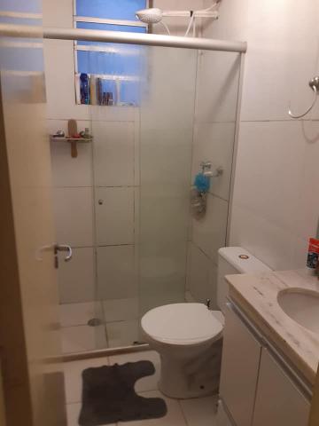 Alugar Apartamento / Padr&atilde;o em S&atilde;o Jos&eacute; do Rio Preto R$ 1.300,00 - Foto 4