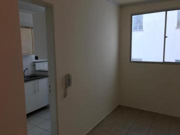 Alugar Apartamento / Padr&atilde;o em S&atilde;o Jos&eacute; do Rio Preto R$ 1.000,00 - Foto 3