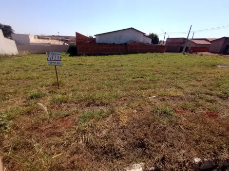 Terreno / Padr&atilde;o em Palestina 