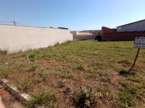 Terreno / Padr&atilde;o em Palestina 