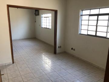 Alugar Casa / Padr&atilde;o em S&atilde;o Jos&eacute; do Rio Preto R$ 1.500,00 - Foto 2