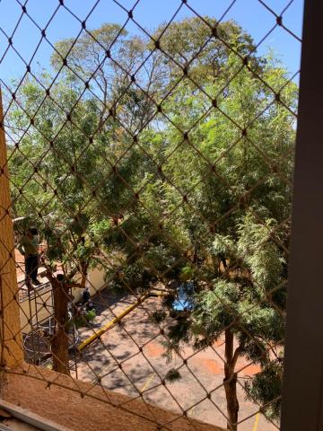 Alugar Apartamento / Padr&atilde;o em S&atilde;o Jos&eacute; do Rio Preto R$ 750,00 - Foto 2