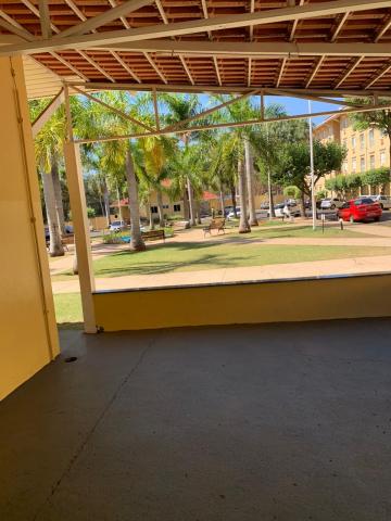 Alugar Apartamento / Padr&atilde;o em S&atilde;o Jos&eacute; do Rio Preto R$ 750,00 - Foto 5