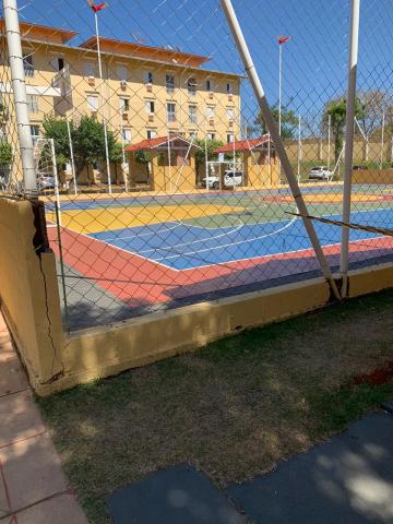Alugar Apartamento / Padr&atilde;o em S&atilde;o Jos&eacute; do Rio Preto R$ 750,00 - Foto 6
