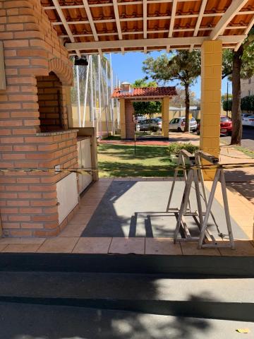 Alugar Apartamento / Padr&atilde;o em S&atilde;o Jos&eacute; do Rio Preto R$ 750,00 - Foto 7