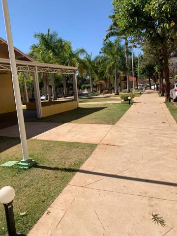 Alugar Apartamento / Padr&atilde;o em S&atilde;o Jos&eacute; do Rio Preto R$ 750,00 - Foto 8