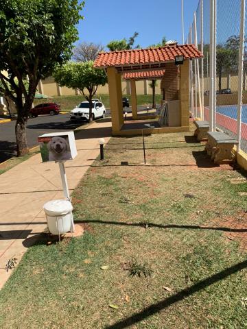 Alugar Apartamento / Padr&atilde;o em S&atilde;o Jos&eacute; do Rio Preto R$ 750,00 - Foto 10