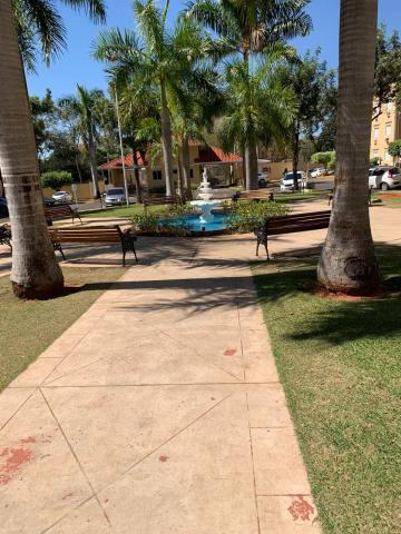 Alugar Apartamento / Padr&atilde;o em S&atilde;o Jos&eacute; do Rio Preto R$ 750,00 - Foto 12