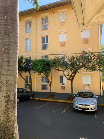 Alugar Apartamento / Padr&atilde;o em S&atilde;o Jos&eacute; do Rio Preto R$ 750,00 - Foto 13