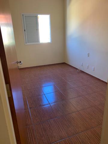 Alugar Apartamento / Padr&atilde;o em S&atilde;o Jos&eacute; do Rio Preto R$ 750,00 - Foto 19