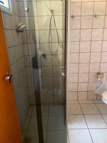 Alugar Apartamento / Padr&atilde;o em S&atilde;o Jos&eacute; do Rio Preto R$ 750,00 - Foto 22