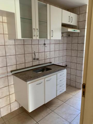 Alugar Apartamento / Padr&atilde;o em S&atilde;o Jos&eacute; do Rio Preto R$ 750,00 - Foto 27
