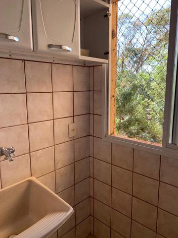 Alugar Apartamento / Padr&atilde;o em S&atilde;o Jos&eacute; do Rio Preto R$ 750,00 - Foto 28