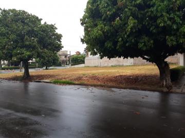 Terreno / Condom&iacute;nio em S&atilde;o Jos&eacute; do Rio Preto 