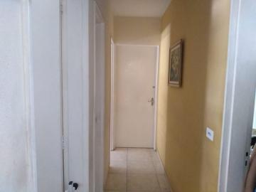 Comprar Apartamento / Padr&atilde;o em S&atilde;o Jos&eacute; do Rio Preto R$ 500.000,00 - Foto 3