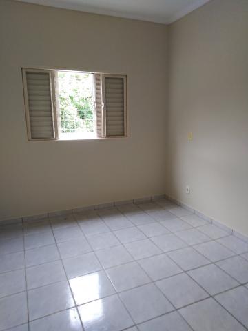 Alugar Casa / Padr&atilde;o em S&atilde;o Jos&eacute; do Rio Preto. apenas R$ 300.000,00