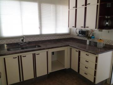 Alugar Apartamento / Padr&atilde;o em S&atilde;o Jos&eacute; do Rio Preto R$ 1.000,00 - Foto 32