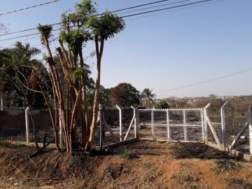 Alugar Terreno / &Aacute;rea em S&atilde;o Jos&eacute; do Rio Preto R$ 2.700,00 - Foto 3