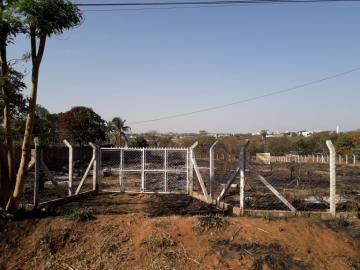 Alugar Terreno / &Aacute;rea em S&atilde;o Jos&eacute; do Rio Preto R$ 2.700,00 - Foto 4