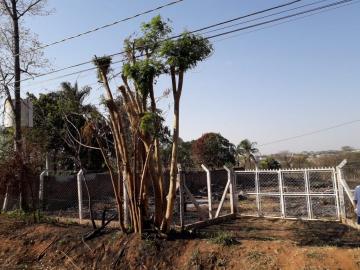 Alugar Terreno / &Aacute;rea em S&atilde;o Jos&eacute; do Rio Preto R$ 2.700,00 - Foto 5