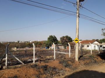 Alugar Terreno / &Aacute;rea em S&atilde;o Jos&eacute; do Rio Preto R$ 2.700,00 - Foto 6