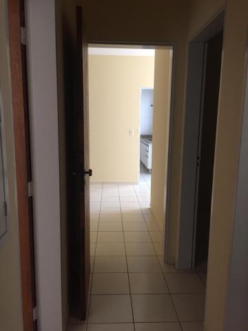 Alugar Apartamento / Padr&atilde;o em S&atilde;o Jos&eacute; do Rio Preto R$ 650,00 - Foto 4