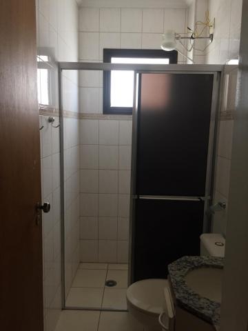 Alugar Apartamento / Padr&atilde;o em S&atilde;o Jos&eacute; do Rio Preto R$ 650,00 - Foto 5