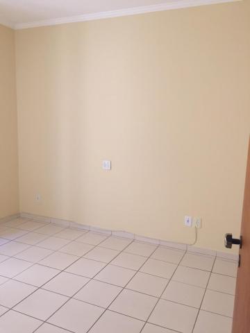 Alugar Apartamento / Padr&atilde;o em S&atilde;o Jos&eacute; do Rio Preto R$ 650,00 - Foto 6