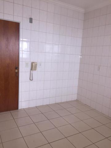 Alugar Apartamento / Padr&atilde;o em S&atilde;o Jos&eacute; do Rio Preto R$ 650,00 - Foto 10