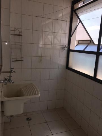 Alugar Apartamento / Padr&atilde;o em S&atilde;o Jos&eacute; do Rio Preto R$ 650,00 - Foto 9