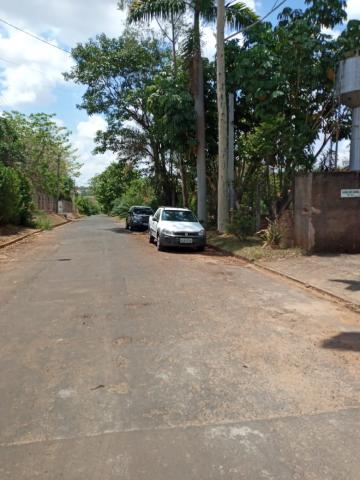 Comprar Rural / Ch&aacute;cara em S&atilde;o Jos&eacute; do Rio Preto R$ 950.000,00 - Foto 7
