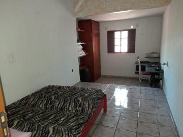 Comprar Rural / Ch&aacute;cara em S&atilde;o Jos&eacute; do Rio Preto R$ 950.000,00 - Foto 9