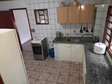 Comprar Rural / Ch&aacute;cara em S&atilde;o Jos&eacute; do Rio Preto R$ 950.000,00 - Foto 10